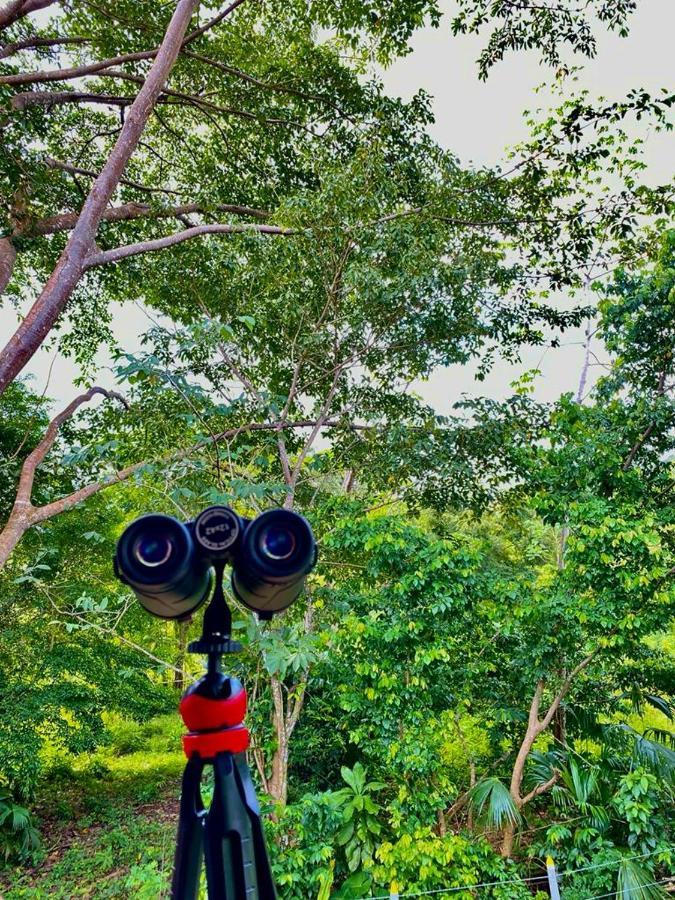Casa De Vacaciones Ecowasi Veras Capurganá Екстериор снимка